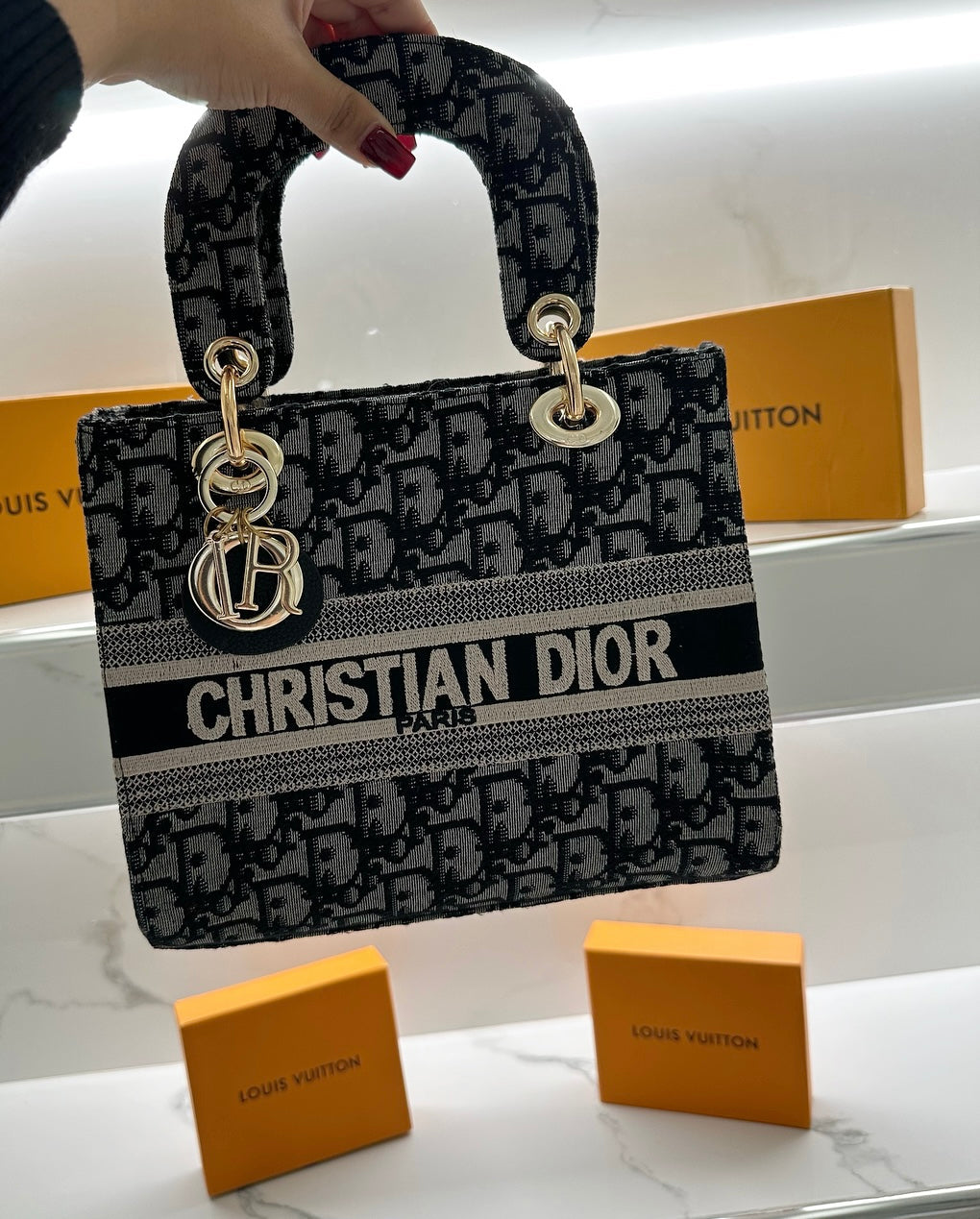 LUXURY DIOR BAG